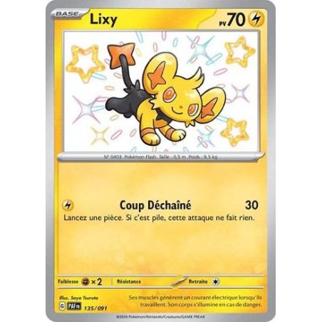 Carte à Collectionner - Pokémon