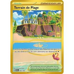 Carte à Collectionner - Pokémon