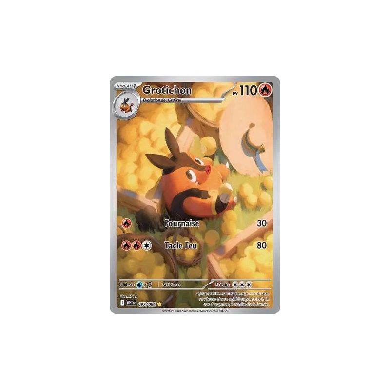 Carte à Collectionner - Pokémon