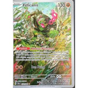 Carte à Collectionner - Pokémon