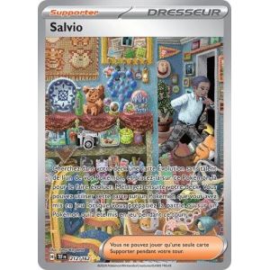 Carte à Collectionner - Pokémon