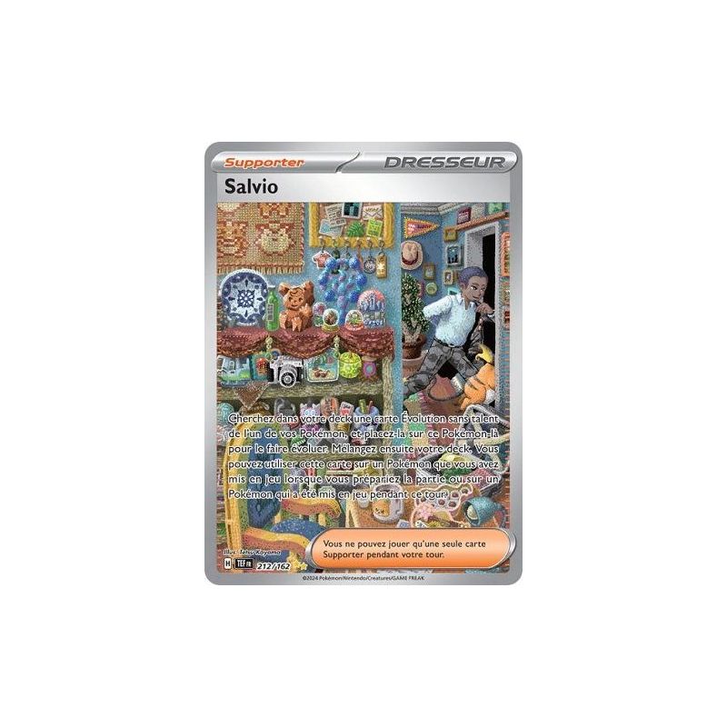 Carte à Collectionner - Pokémon