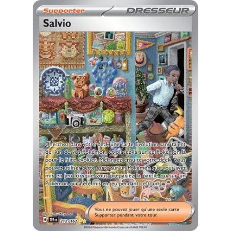 Carte à Collectionner - Pokémon