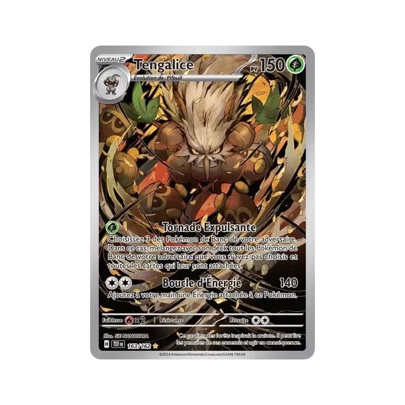Carte à Collectionner - Pokémon