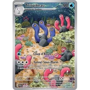 Carte à Collectionner - Pokémon