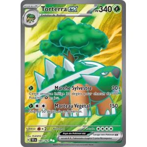 Carte à Collectionner - Pokémon