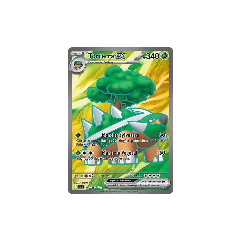 Carte à Collectionner - Pokémon