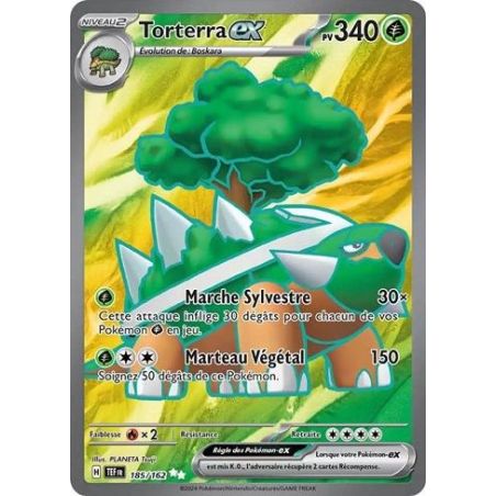 Carte à Collectionner - Pokémon