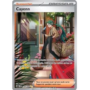 Carte à Collectionner - Pokémon