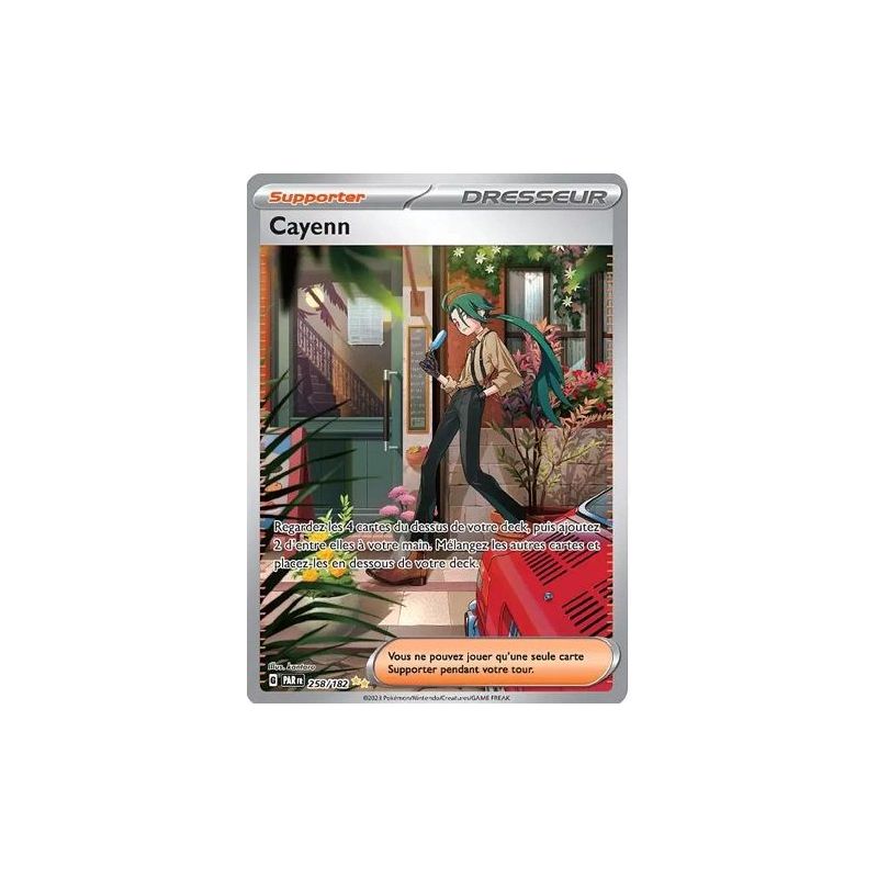Carte à Collectionner - Pokémon