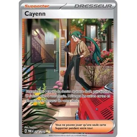 Carte à Collectionner - Pokémon