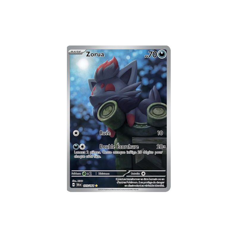 Carte à Collectionner - Pokémon