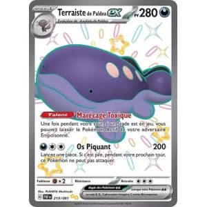 Carte à Collectionner - Pokémon