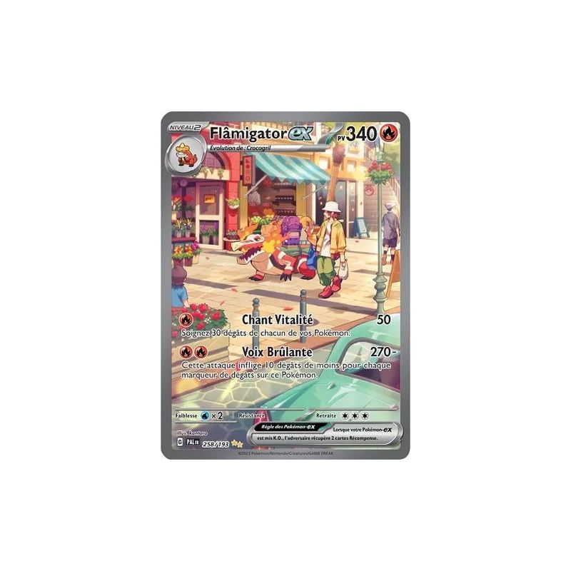 Carte à Collectionner - Pokémon