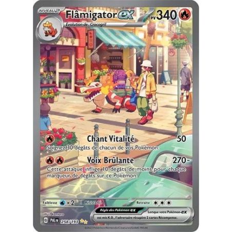 Carte à Collectionner - Pokémon