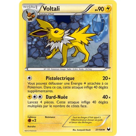 Carte à Collectionner - Pokémon