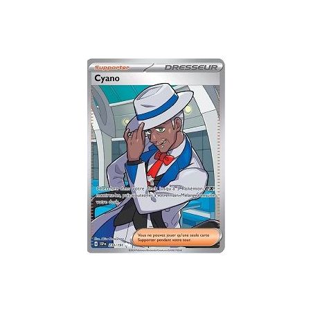 Carte à Collectionner - Pokémon