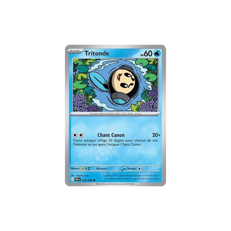 Carte à Collectionner - Pokémon