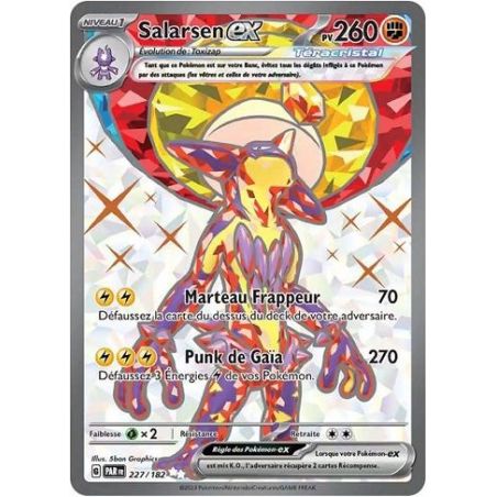 Carte à Collectionner - Pokémon