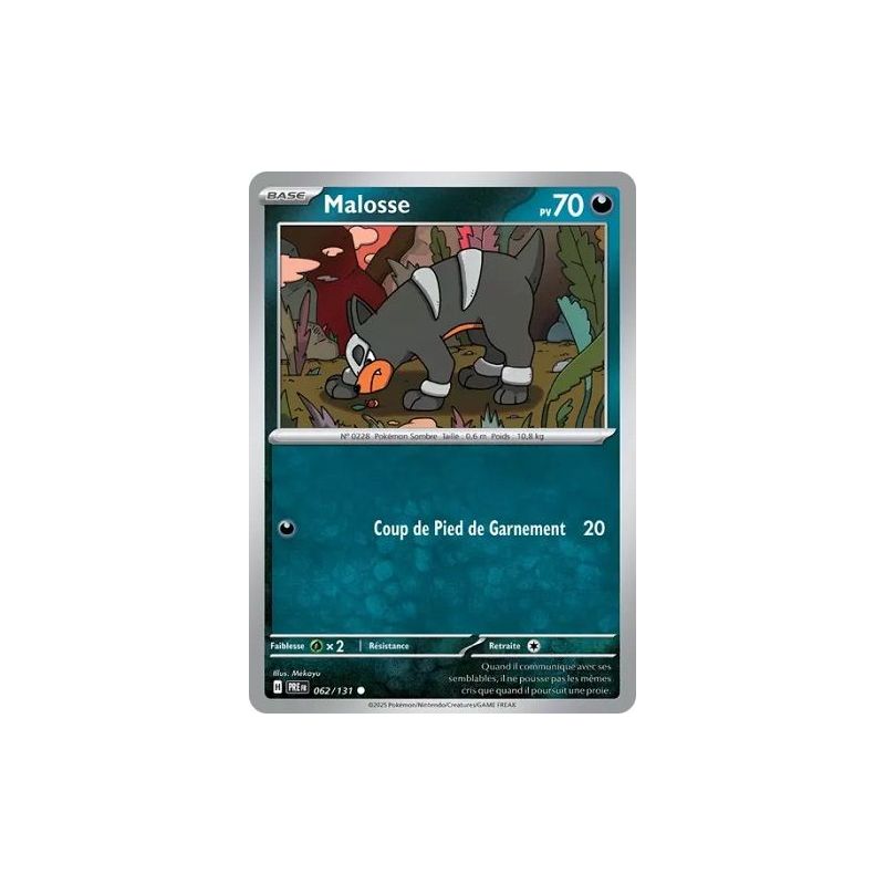 Carte à Collectionner - Pokémon