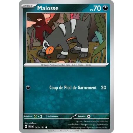 Carte à Collectionner - Pokémon