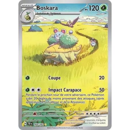 Carte à Collectionner - Pokémon