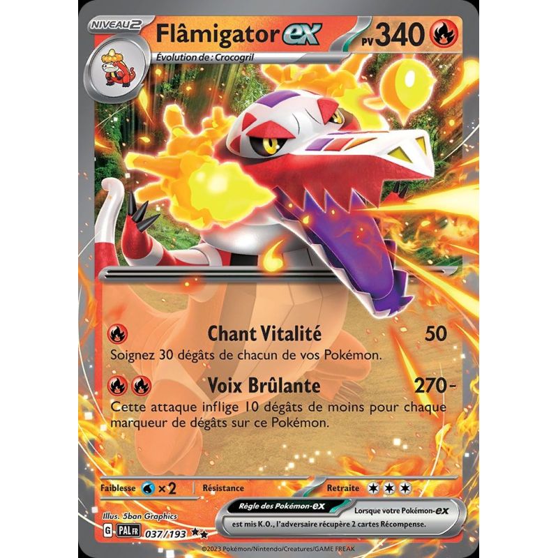 Carte à Collectionner - Pokémon