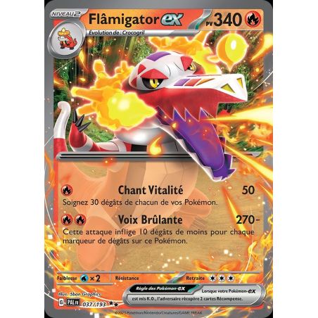 Carte à Collectionner - Pokémon