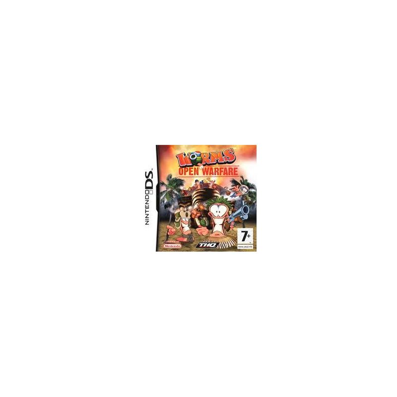 Nintendo DS