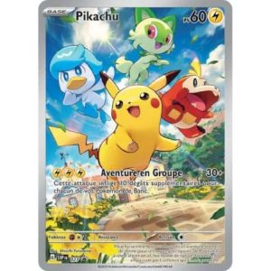 Carte à Collectionner - Pokémon