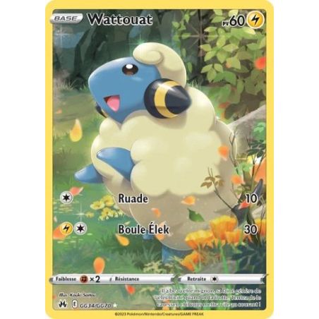 Carte à Collectionner - Pokémon