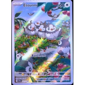Carte à Collectionner - Pokémon