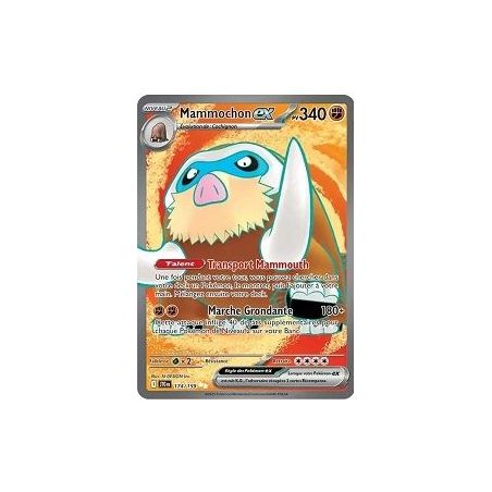 Carte à Collectionner - Pokémon