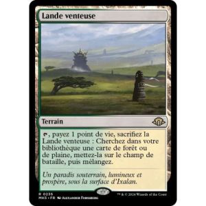 Carte à Collectionner - Magic the gathering