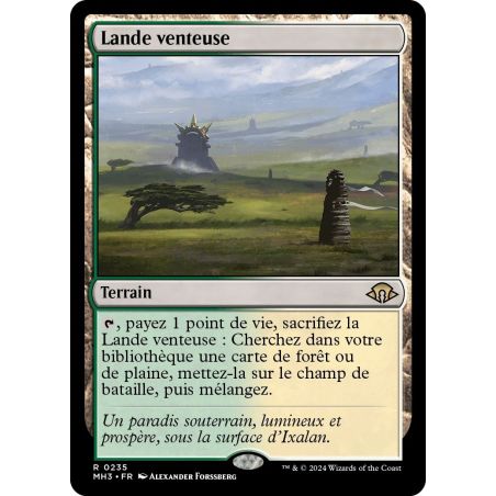 Carte à Collectionner - Magic the gathering