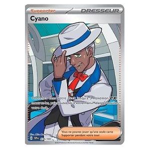 Carte à Collectionner - Pokémon
