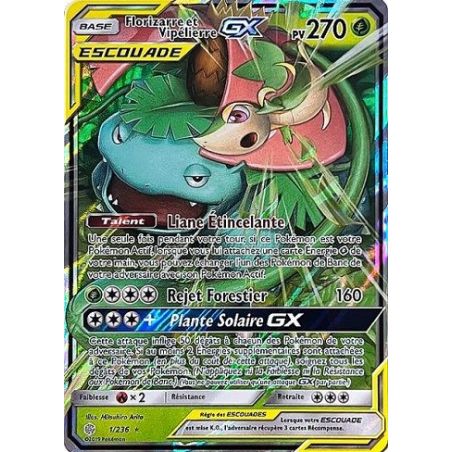 Carte à Collectionner - Pokémon