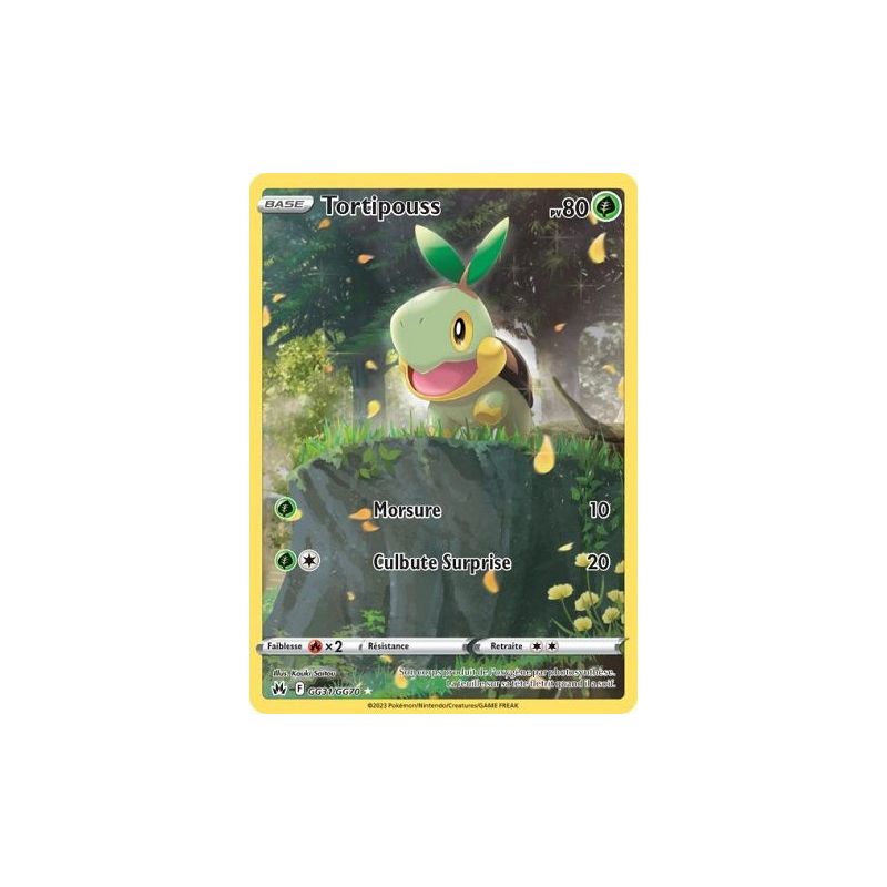 Carte à Collectionner - Pokémon
