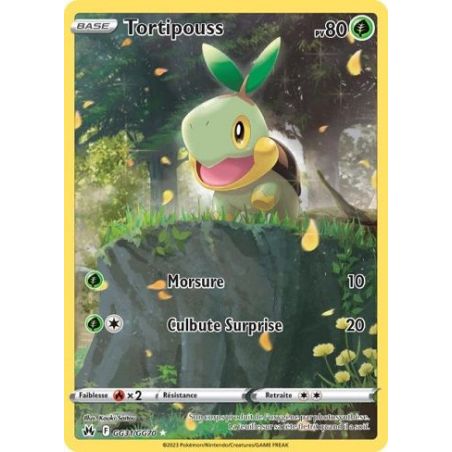 Carte à Collectionner - Pokémon
