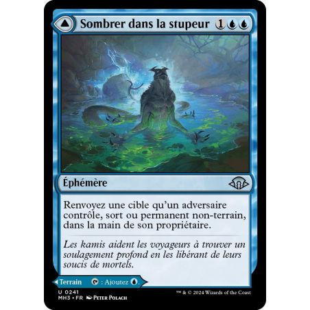 Carte à Collectionner - Magic the gathering