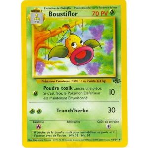 Carte à Collectionner - Pokémon