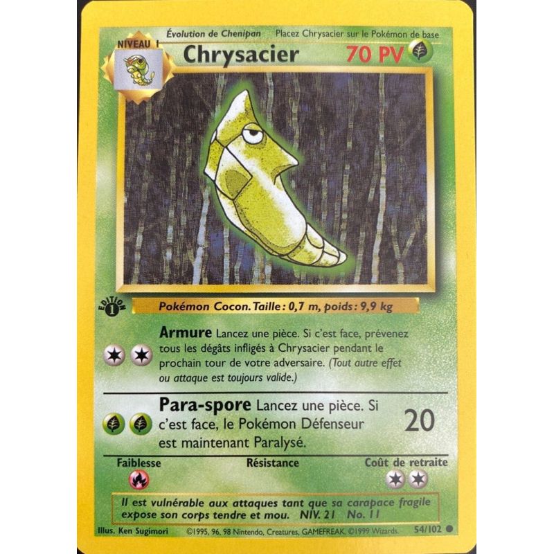 Carte à Collectionner - Pokémon
