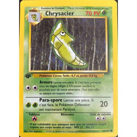 Carte à Collectionner - Pokémon
