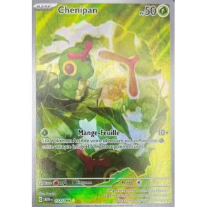 Carte à Collectionner - Pokémon