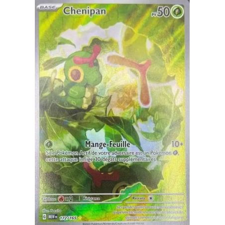 Carte à Collectionner - Pokémon