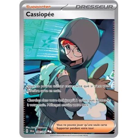 Carte à Collectionner - Pokémon