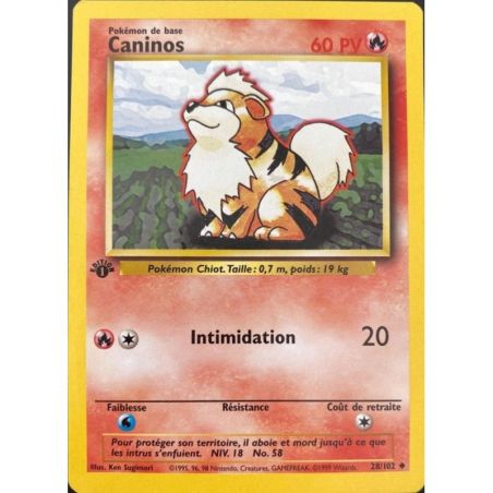 Carte à Collectionner - Pokémon