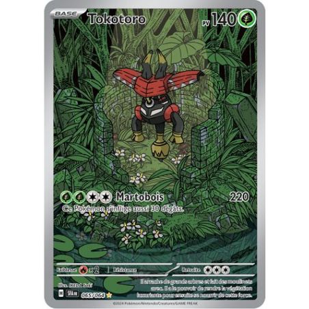 Carte à Collectionner - Pokémon