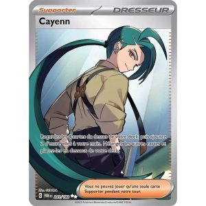 Carte à Collectionner - Pokémon