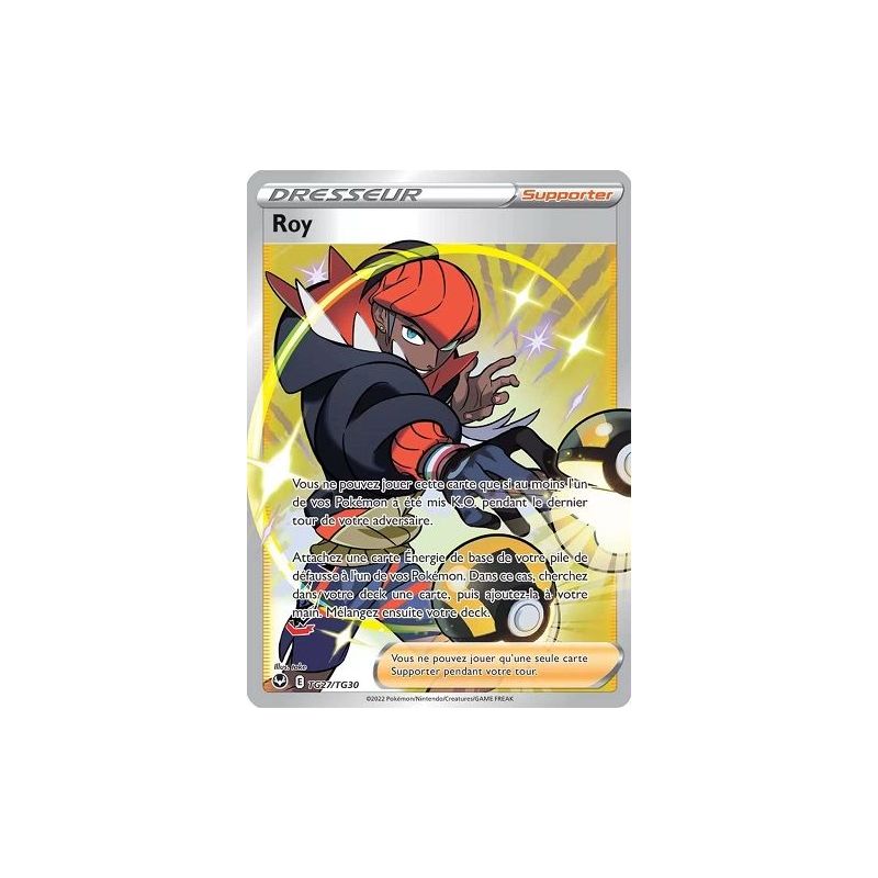 Carte à Collectionner - Pokémon